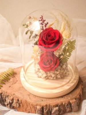 Cupula-roja Cupula preservada Roja