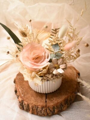 Minimaceta-iris-2 Iris