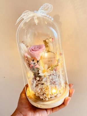 dtrjxfjxx Cupula Large