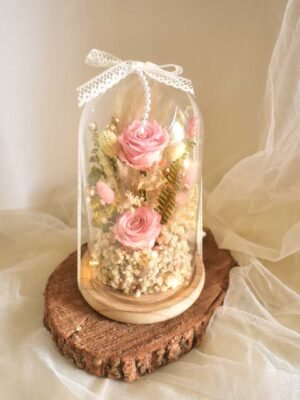 ksrkgsrkh Cupula preservada Rosa